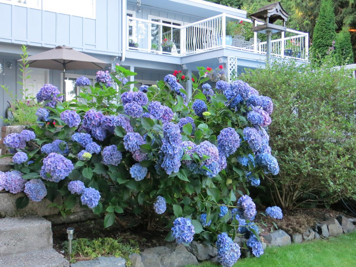 Caprice Bed & Breakfast Roberts Creek Eksteriør bilde